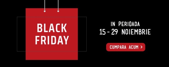 Black Friday Sale