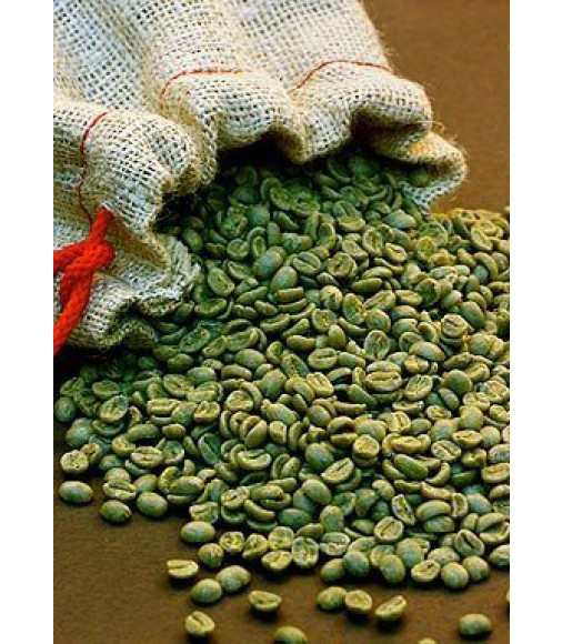 Cafea Verde Guatemala