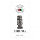 Cafea Proaspat Prajita THE COFFEE SHOP Guatemala 500g